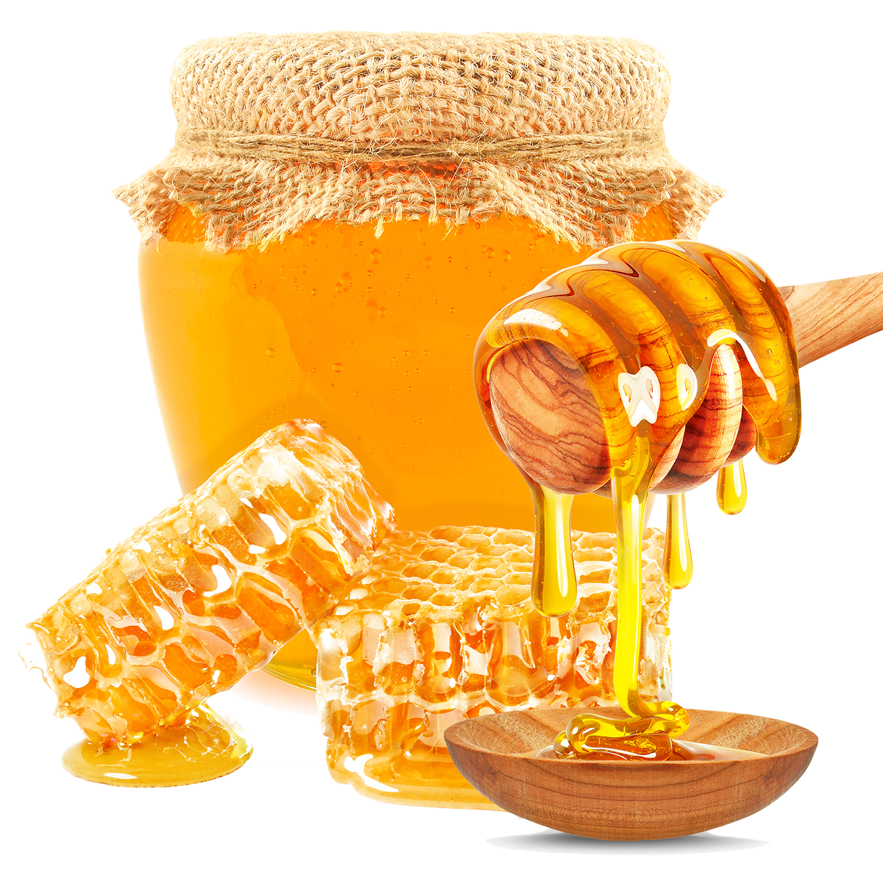 خرید عسل گون